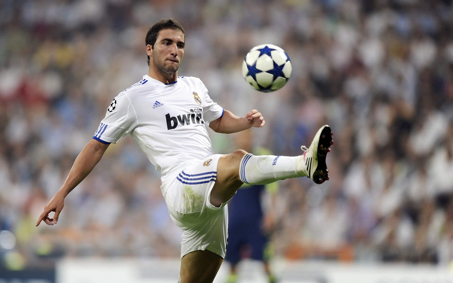 弗朗索瓦·霍尔茨豪伊泽：南非队的背后大师，迅速调整战术应对挑战