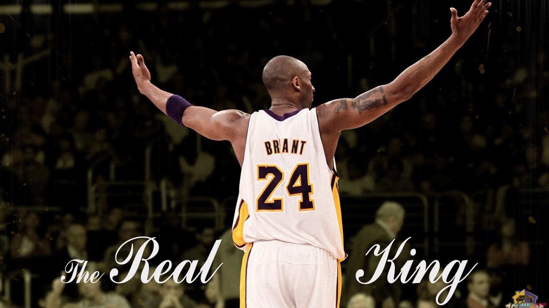 篮网训练营新增对抗模拟器增强防守感知能力,篮网 训练