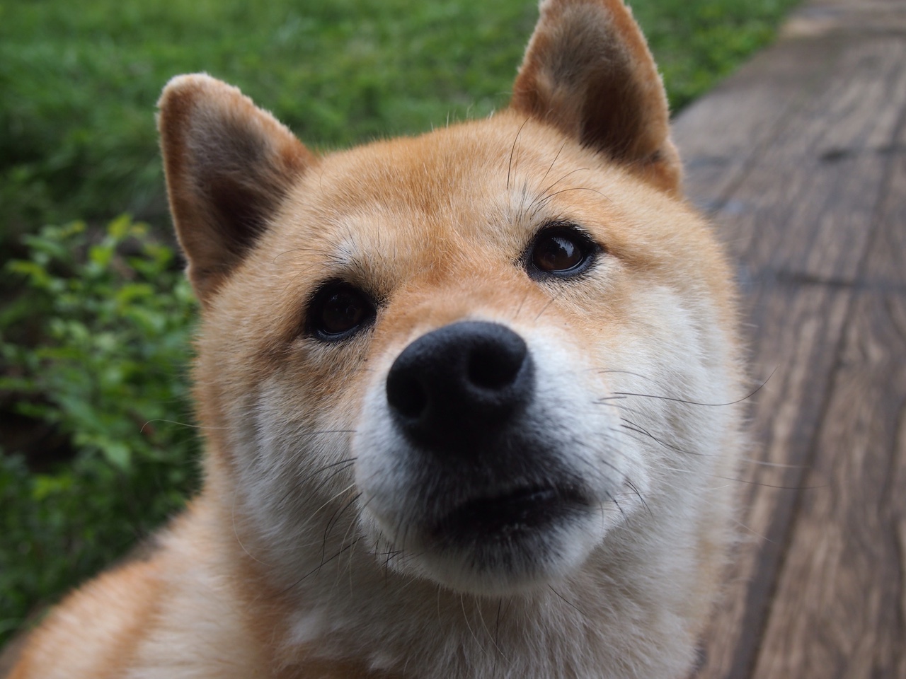 kering.com-UEFA官方发布欧冠年度最佳阵容，2020-2021欧冠最佳阵容