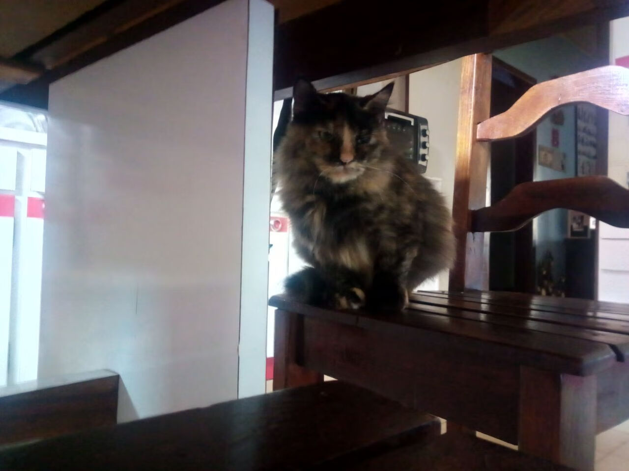 全场高能:本周最火爆的比赛集锦,热门赛事